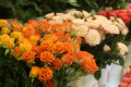 Петербург украсят цветами к майским праздникам